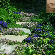 monte verde garden