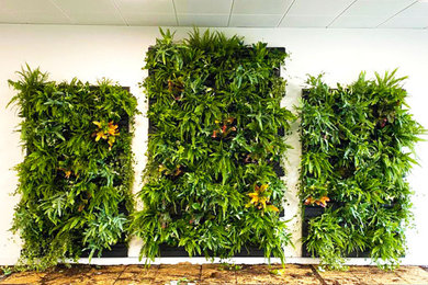 Office Space Living Wall