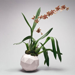 Ceramic Geo Vase - Indoor Pots And Planters