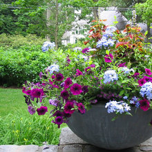 Outdoor Landscaping