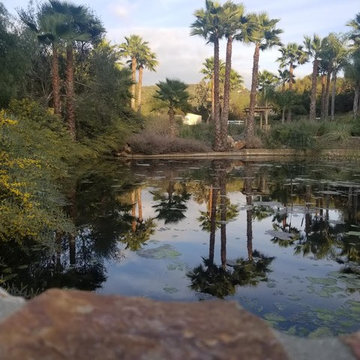 Infinite Pool Project