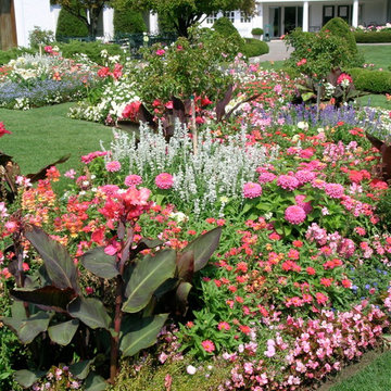 Annuals & Perennials