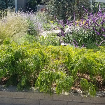 Perrenial Color year round