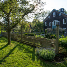 Landscape Ideas