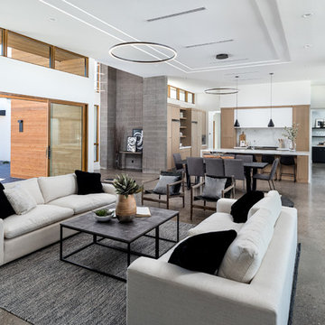 Desert Modern - Camello