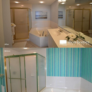 Various Repainted Bathroom Projects