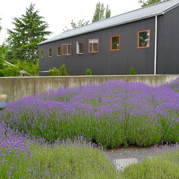 Garde Details-Planting Design