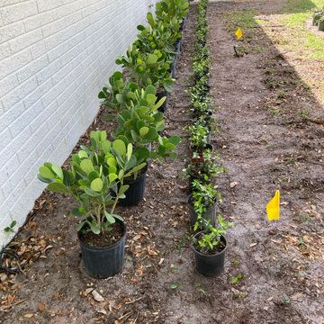 Landscaping Designs