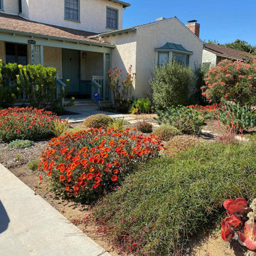 Bermed front yard