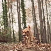 Claire Mandrycky's photo