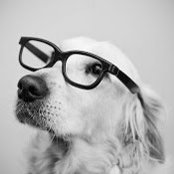 Foto von Ivan