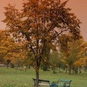 Dana Ionescu's photo