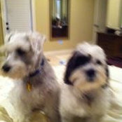 Sue Bradshaw's photo