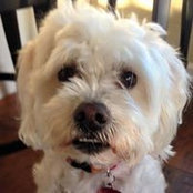 Marilyn Niles's photo