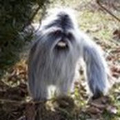 Kate MacGinley's photo