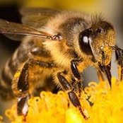Alvaro Garcia's photo