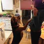 Colleen Smith's photo