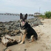 Chris Grandinetti's photo