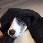 Lisa Collura Racich's photo