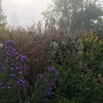Schoolhouse Meadow - Fall