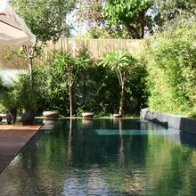 Pool Ideas