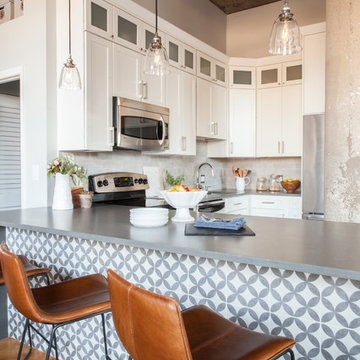Roscoe Village Remodel