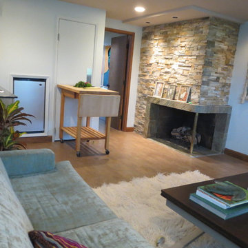 Midcentury Home Basement Remodel