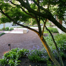 Front Yard Plants
