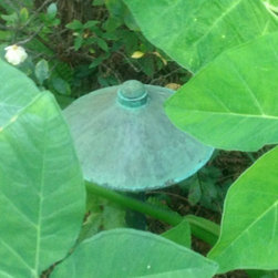 Verde Green Finish - Outdoor Lighting