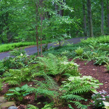 Woodland Gardens