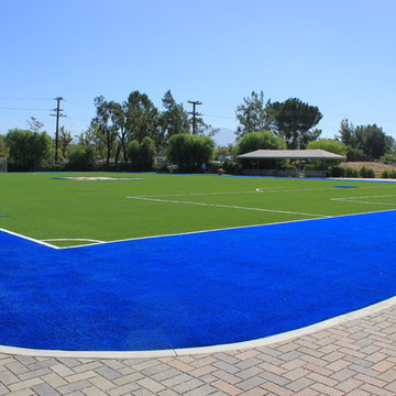 Custom Sport fields