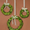 Serene Spaces Living Set of 3 Preserved Boxwood Wreaths, Genuine Green Leaves