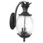 Acclaim Lighting - Acclaim Lighting 7512BK Lanai - Three Light Outdoor Wall Mount - This Three Light Wall Lantern has a Black Finish and is part of the Lanai Collection.  Shade Included.Lanai Three Light Outdoor Wall Mount Matte Black Clear Pineapple Glass *UL Approved: YES *Energy Star Qualified: n/a  *ADA Certified: n/a  *Number of Lights: Lamp: 3-*Wattage:60w Candelabra bulb(s) *Bulb Included:No *Bulb Type:Candelabra *Finish Type:Matte Black