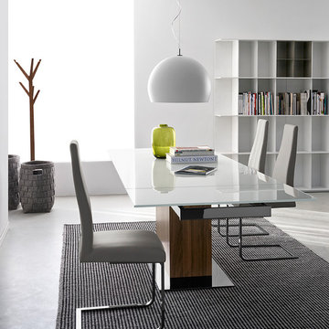 Park Glass Table - Frosted Top - Chromed Frame and Legs (2) - Walnut Legs
