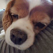 Claire Hedges's photo