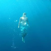 Brendon Devitt's photo
