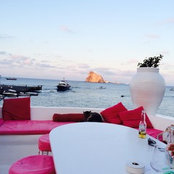 Ofa M's photo