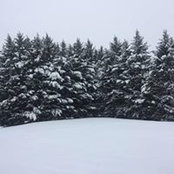 Judy Yarbrough's photo