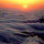 webuser_22752
