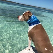 Michele Keeling's photo