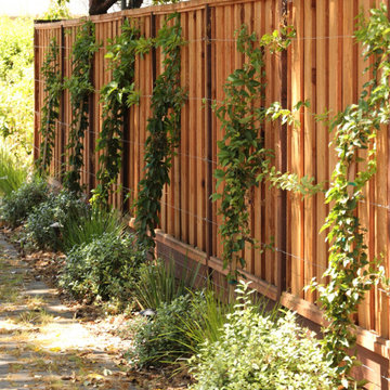Hidden Garden