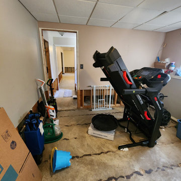 Basement Finish with bathroom