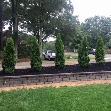 Landscaping & Landscaping Lighting