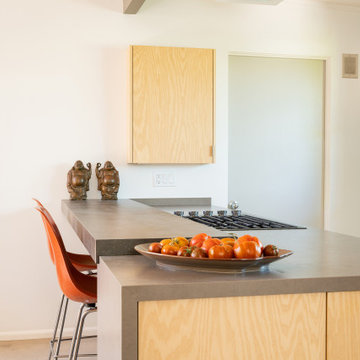 Historic Eichler Kitchen Remodel