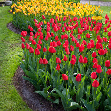 Landscape Projects