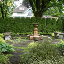 back yard, privacy plants