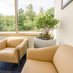 Plant Stands - Plant Stands And Telephone Tables