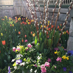 Spring Rotations - Home Fragrances