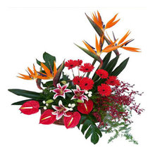 send flowers to lucknow