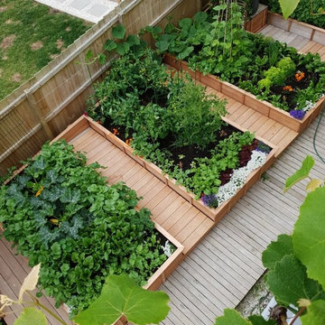 Raised Bed Vegetable Garden